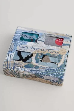 Box Of 4 Men's Postcard Socks