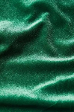 Capsule V-Neck Velvet Top