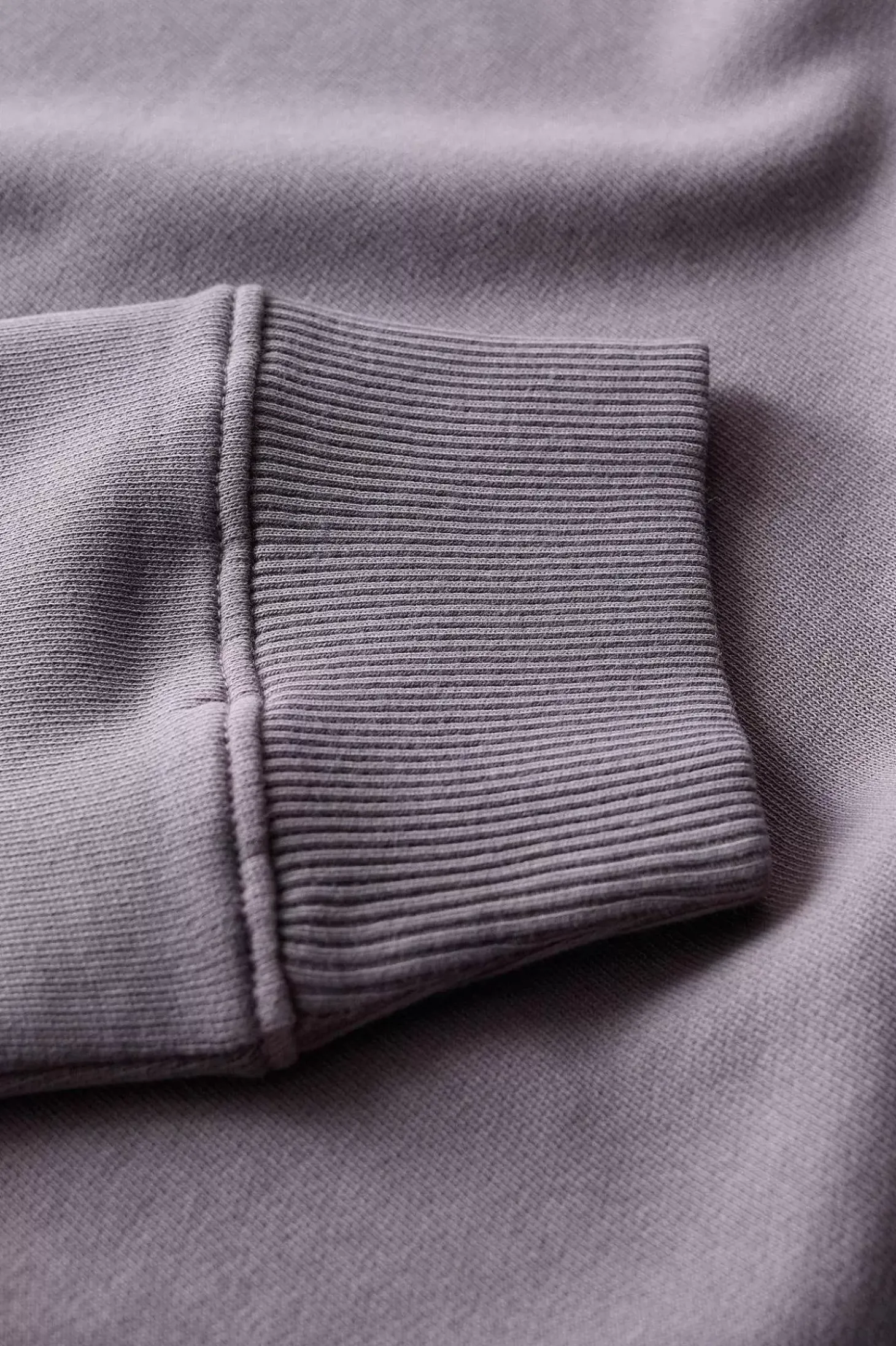 Hawkmoth Organic Cotton Sweatshirt